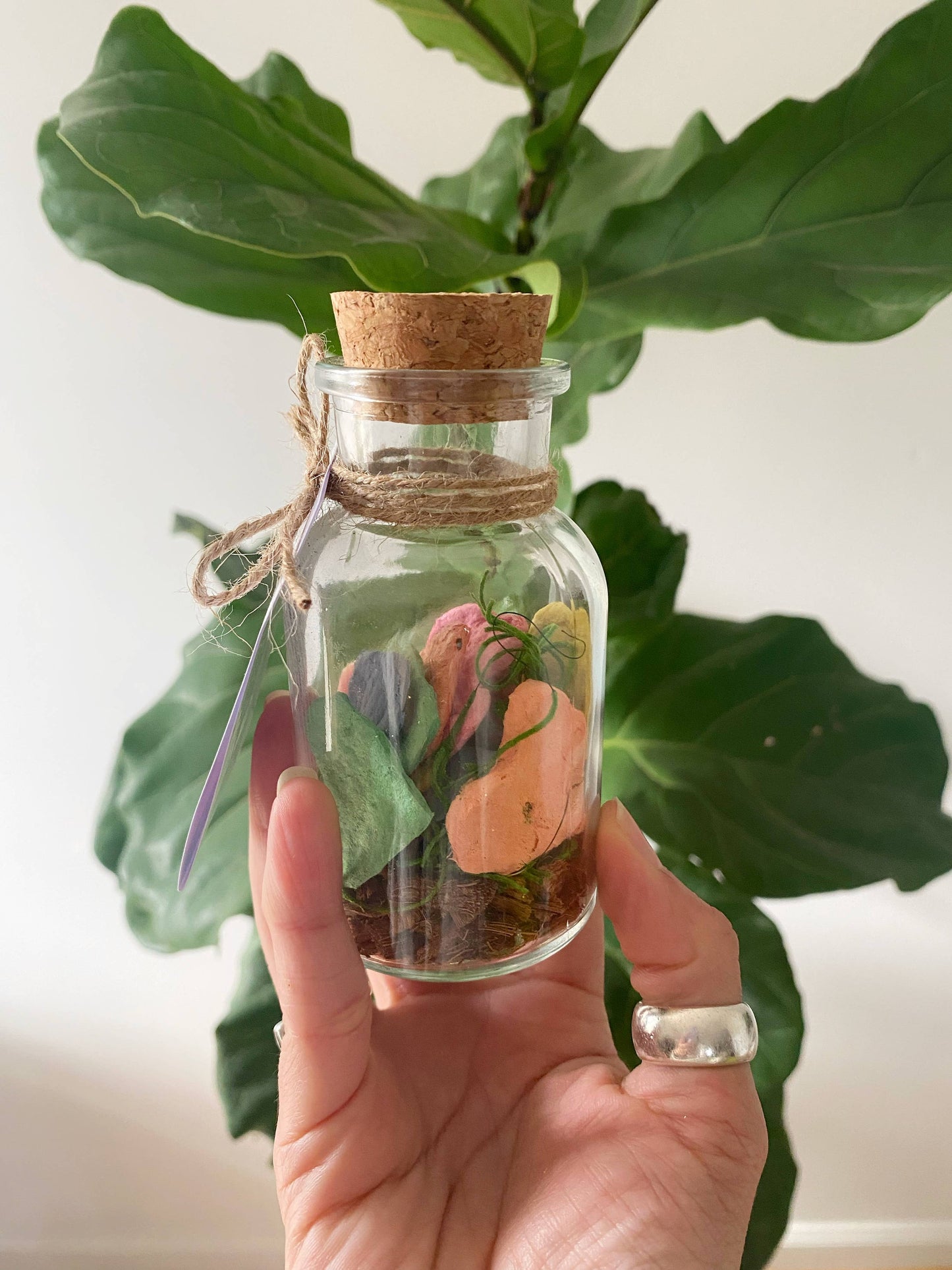 Seasoning Herbs Seed Paper Heart Jars set of 10 hearts