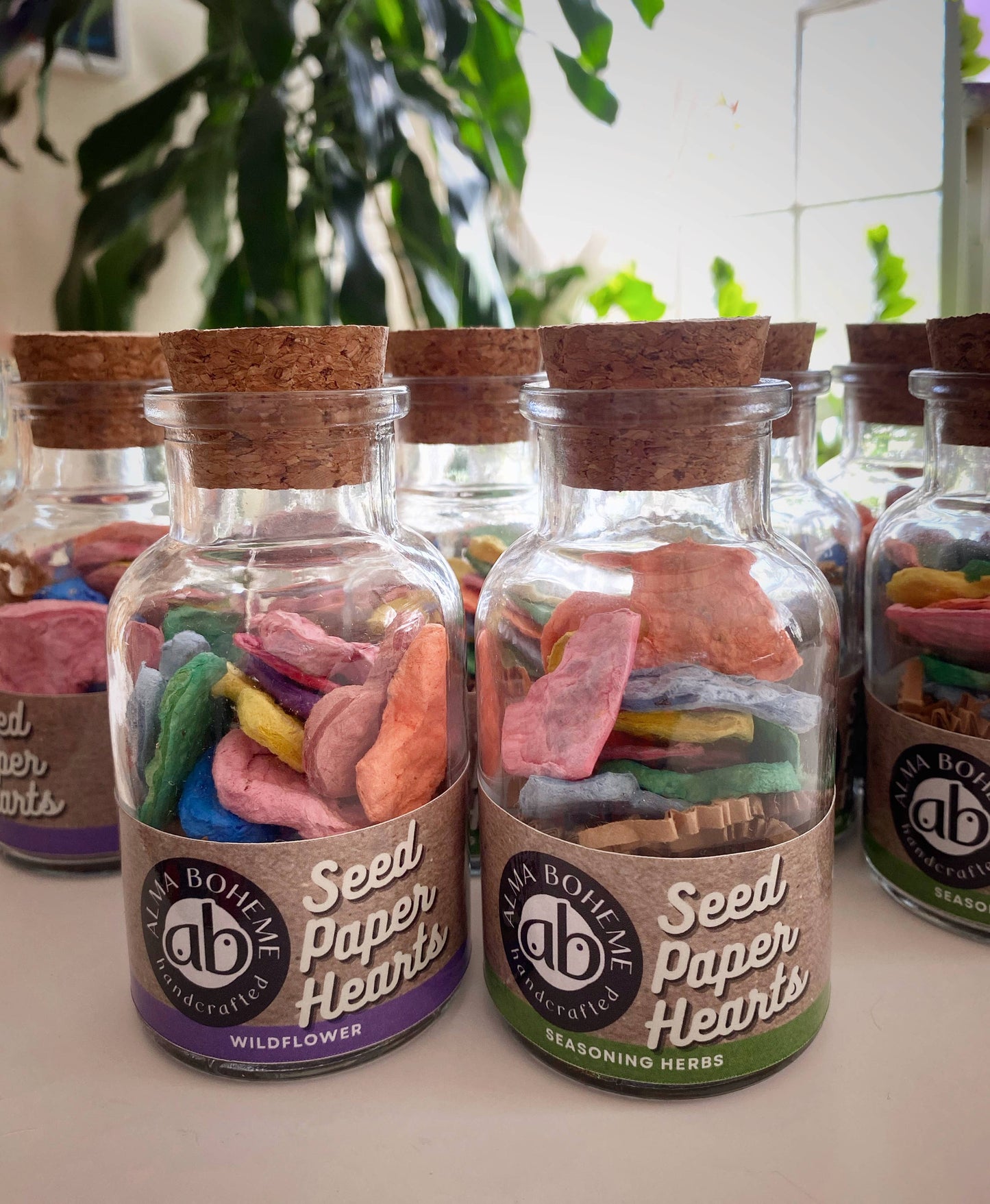 Seasoning Herbs Seed Paper Heart Jars set of 10 hearts