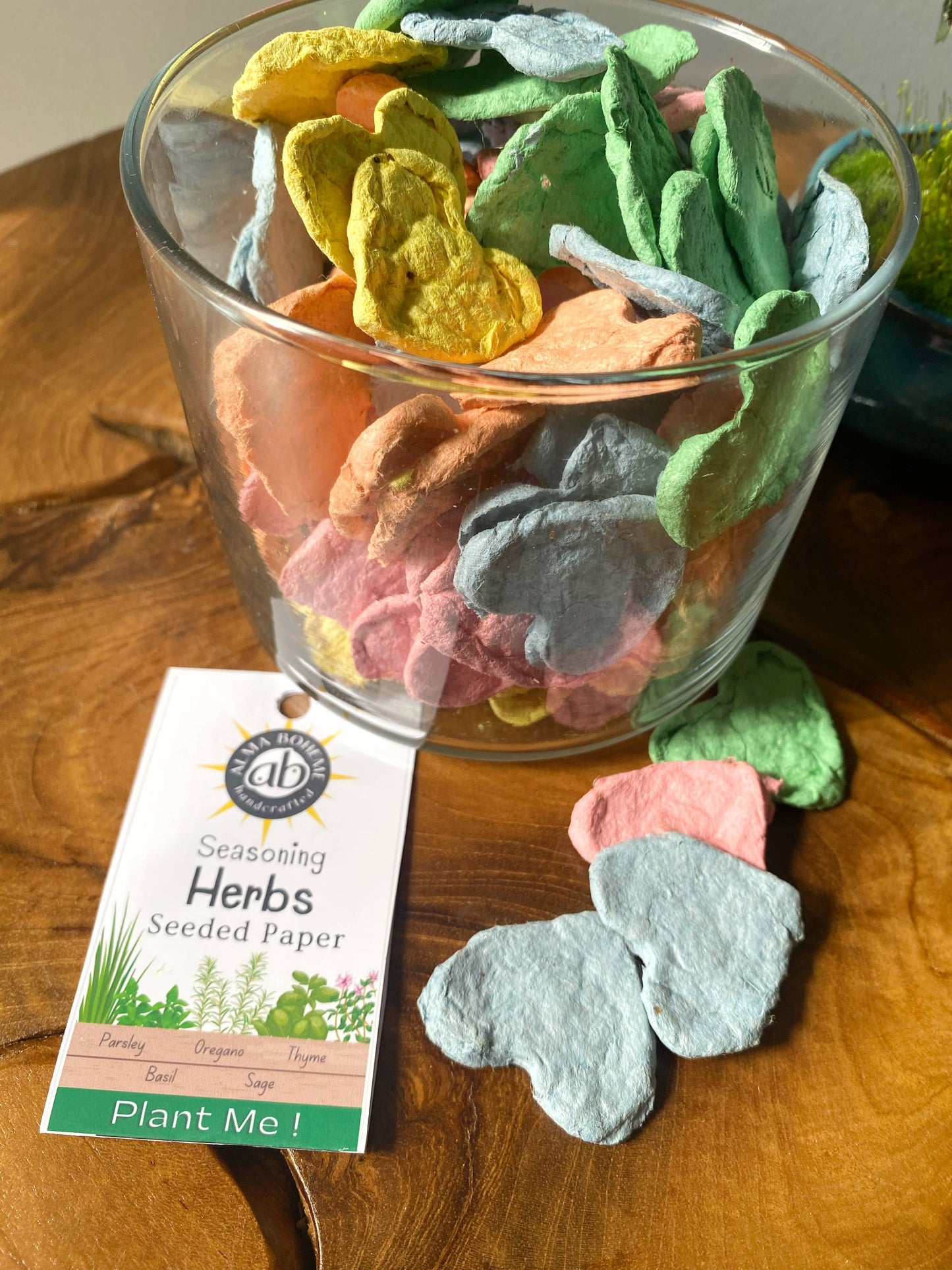 Seasoning Herbs Seed Paper Heart Jars set of 10 hearts
