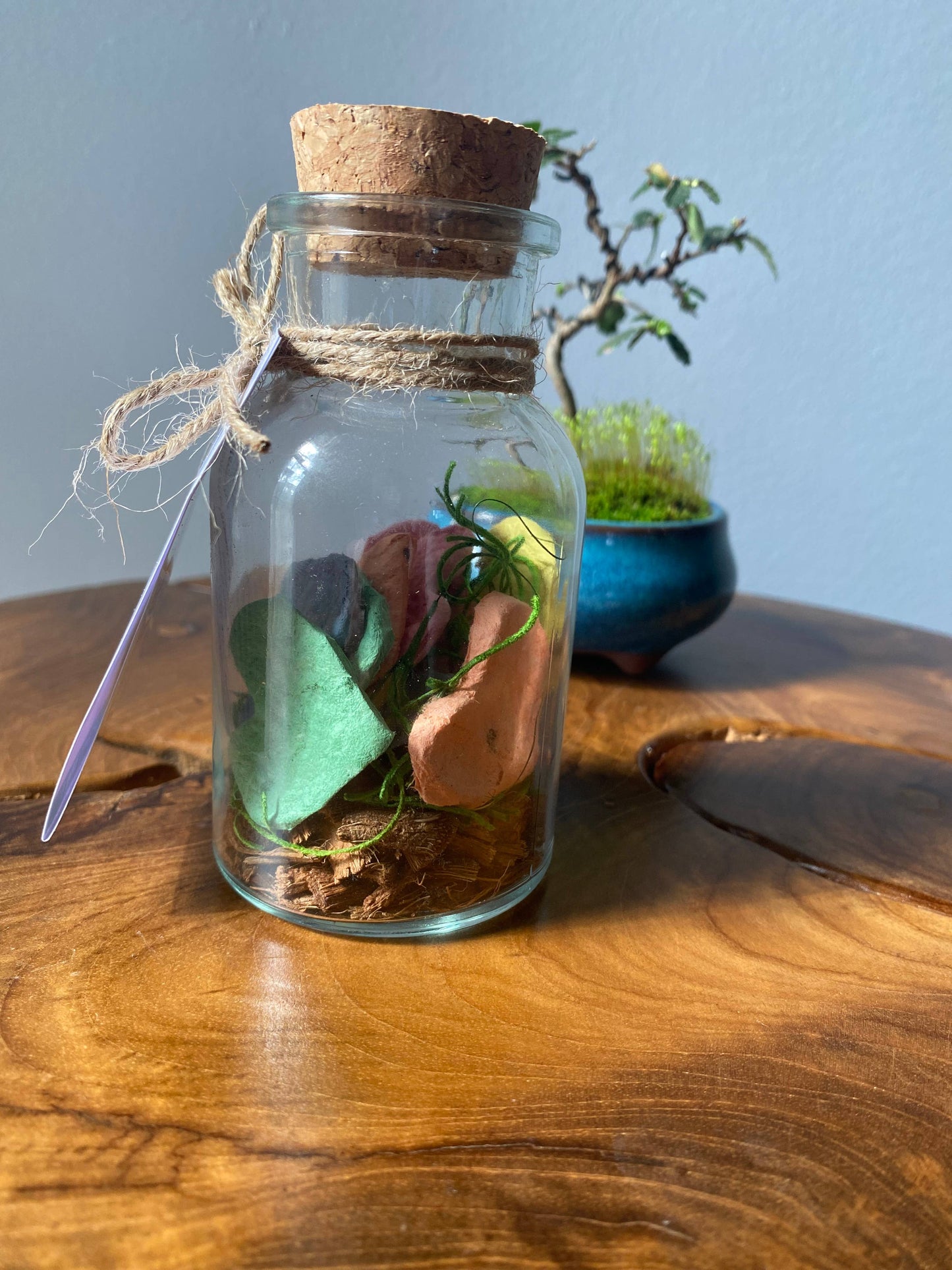 Seasoning Herbs Seed Paper Heart Jars set of 10 hearts