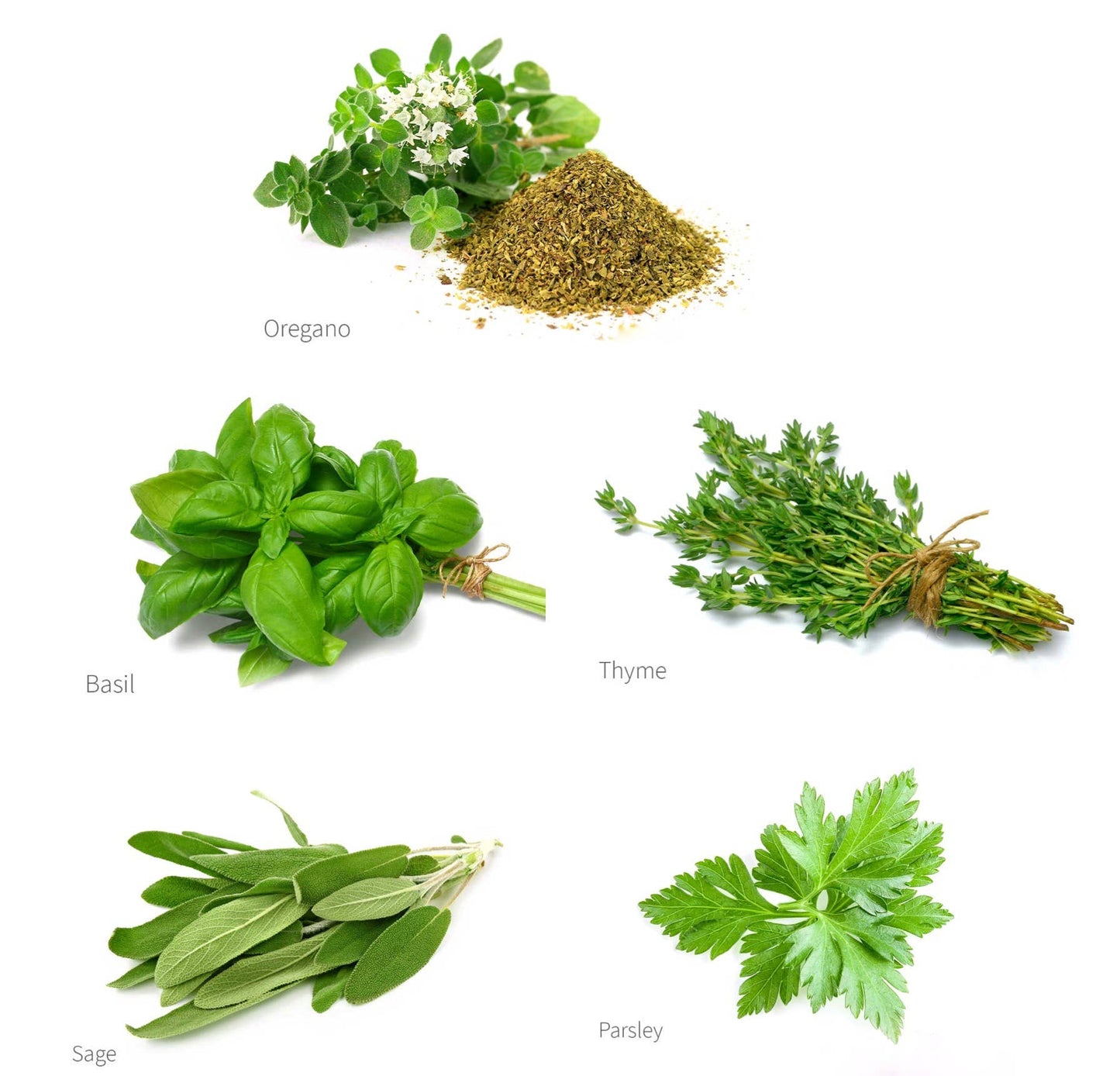 Seasoning Herbs Seed Paper Heart Jars set of 10 hearts