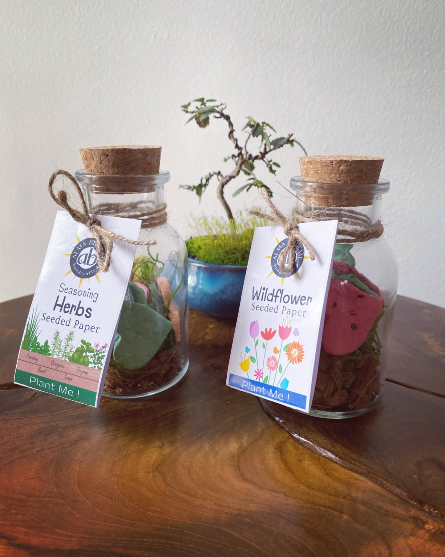 Seasoning Herbs Seed Paper Heart Jars set of 10 hearts