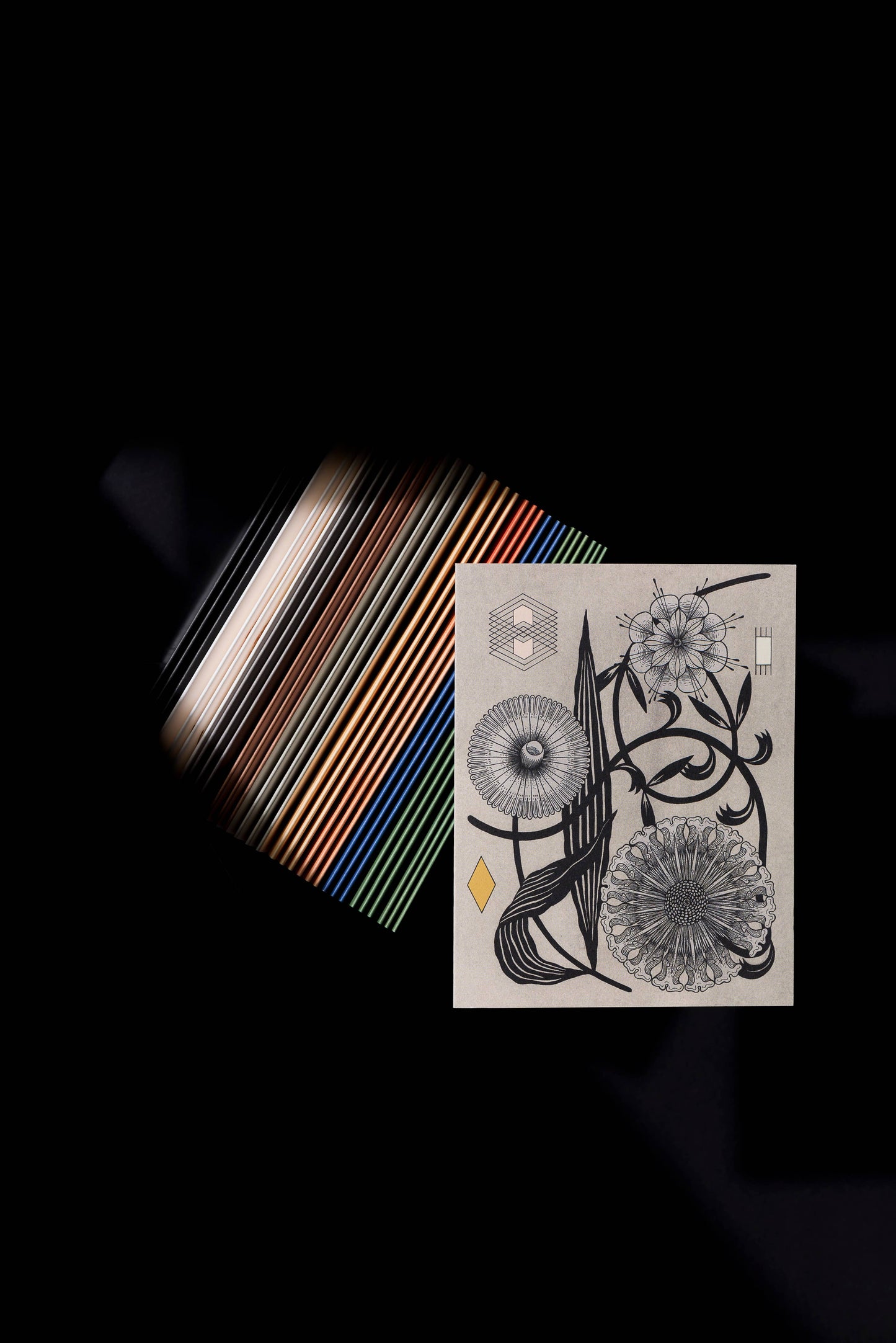 Floral Geometry everyday greeting card: Boxed Sets
